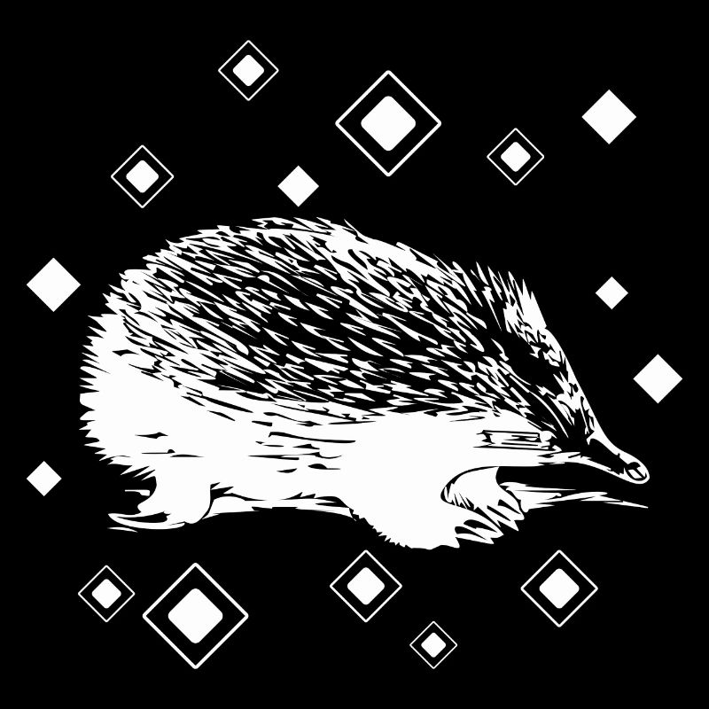 Hérisson