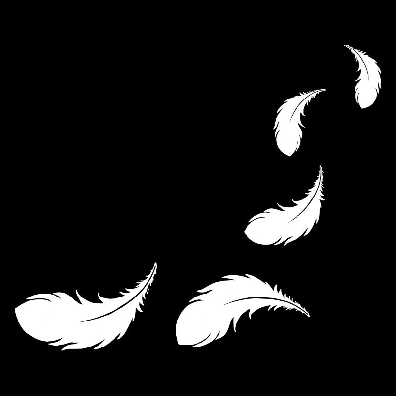 fliegende Federn weiss