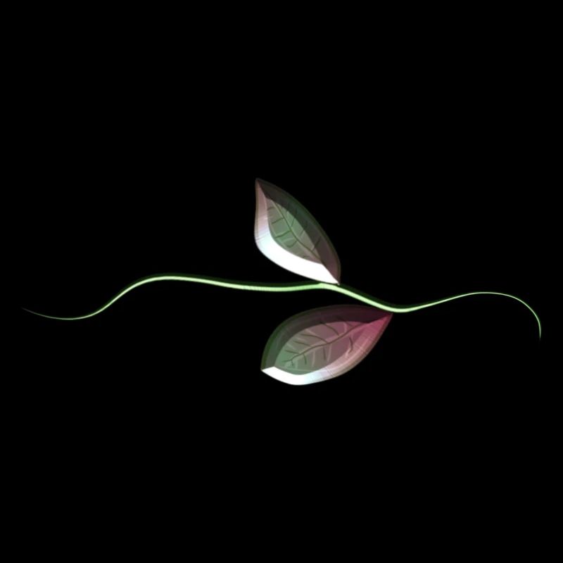 feuilles feuille symbole plante