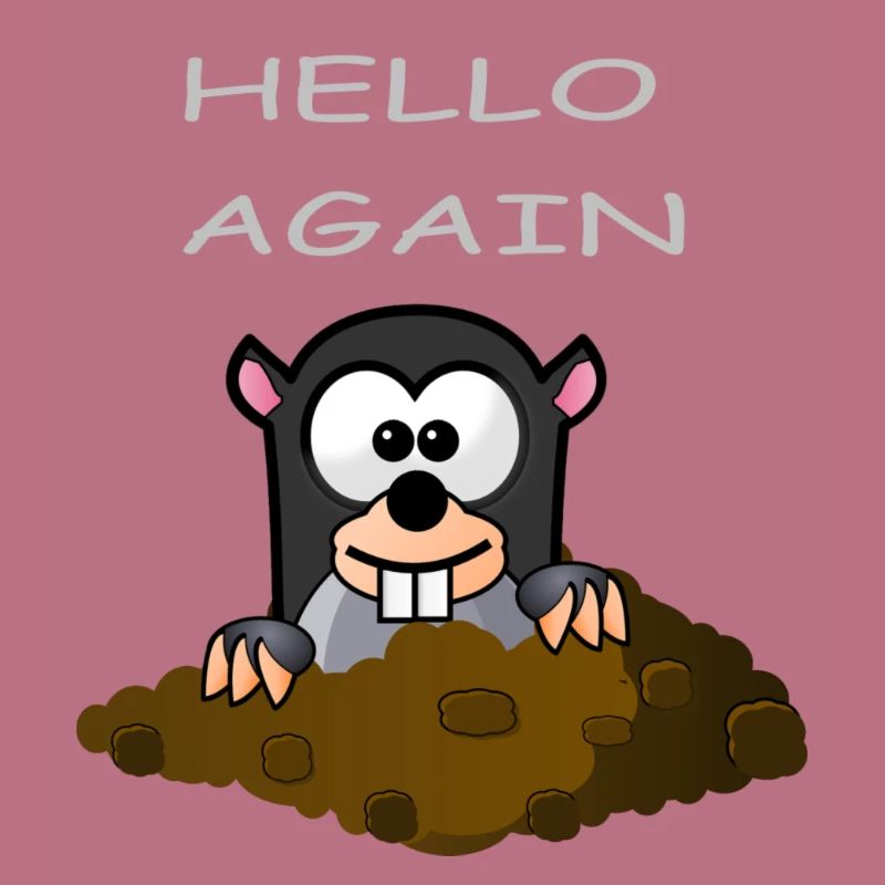 Maulwurf Hello Again