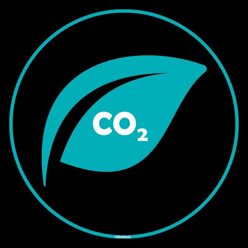 Design c02