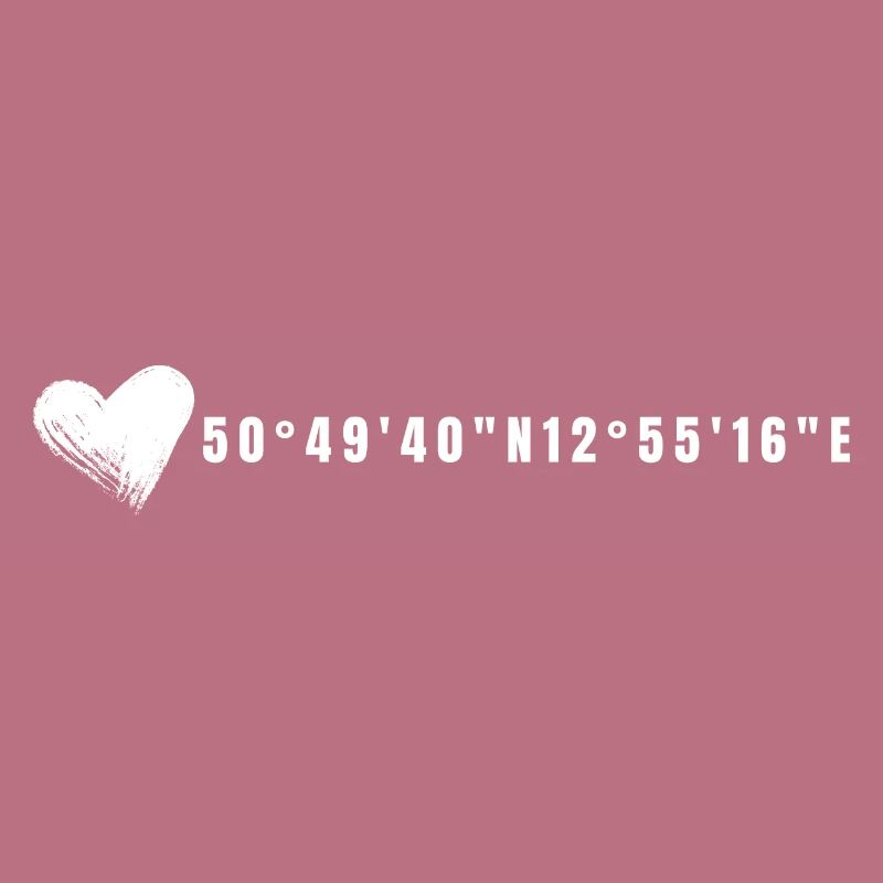 Chemnitz Heart coordinates