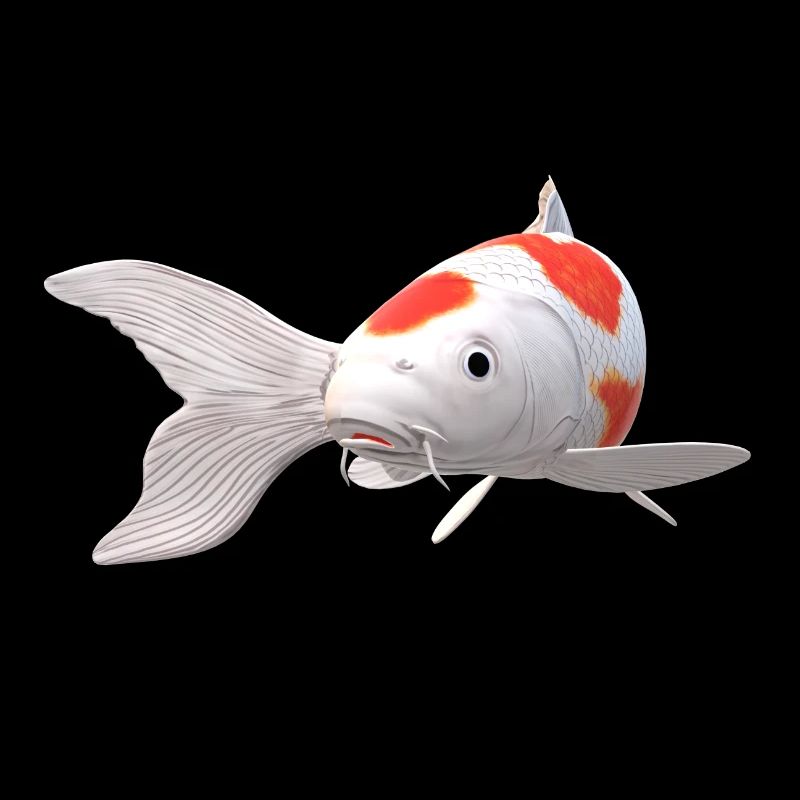 3D Koi