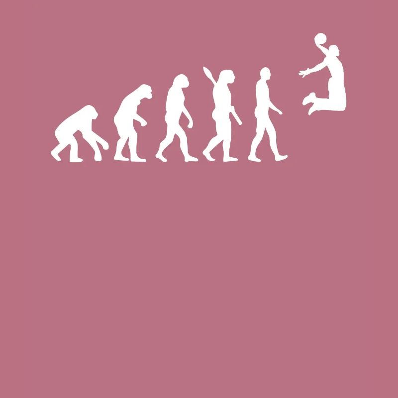 Basketball Evolution