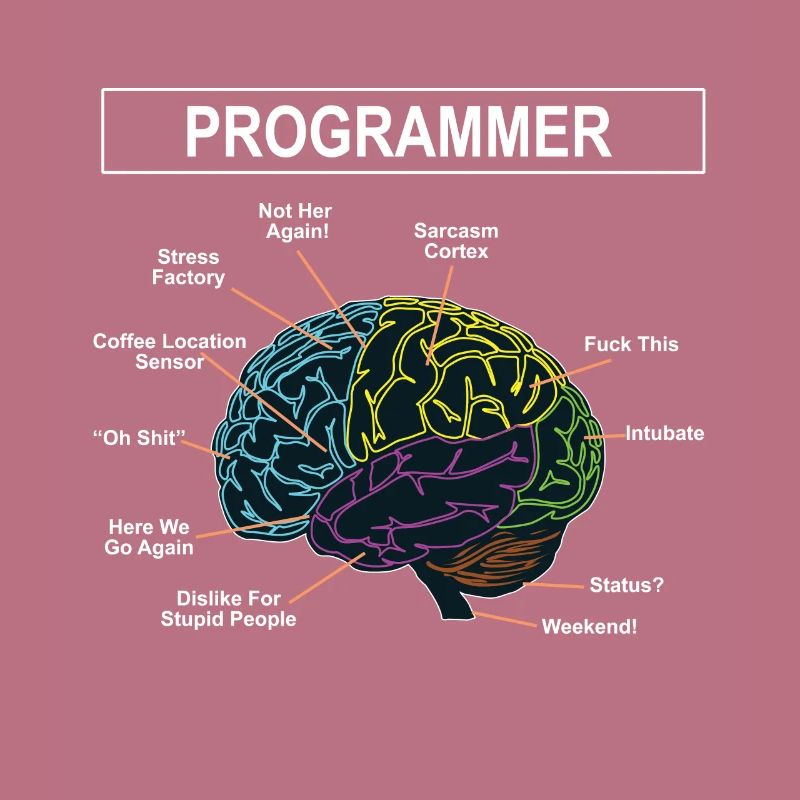 Programmeurs