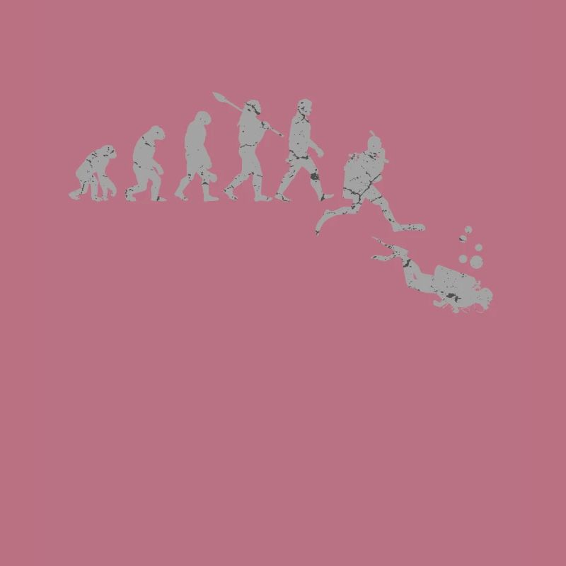 Divers evolution