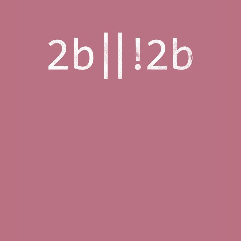 2b ou non Programmation de codage de codeur de programmeur 2b