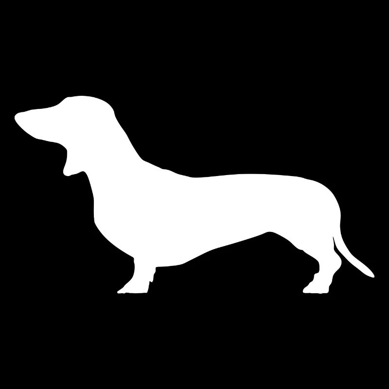 Teckel chien de chasse Teckel Teckel chiens