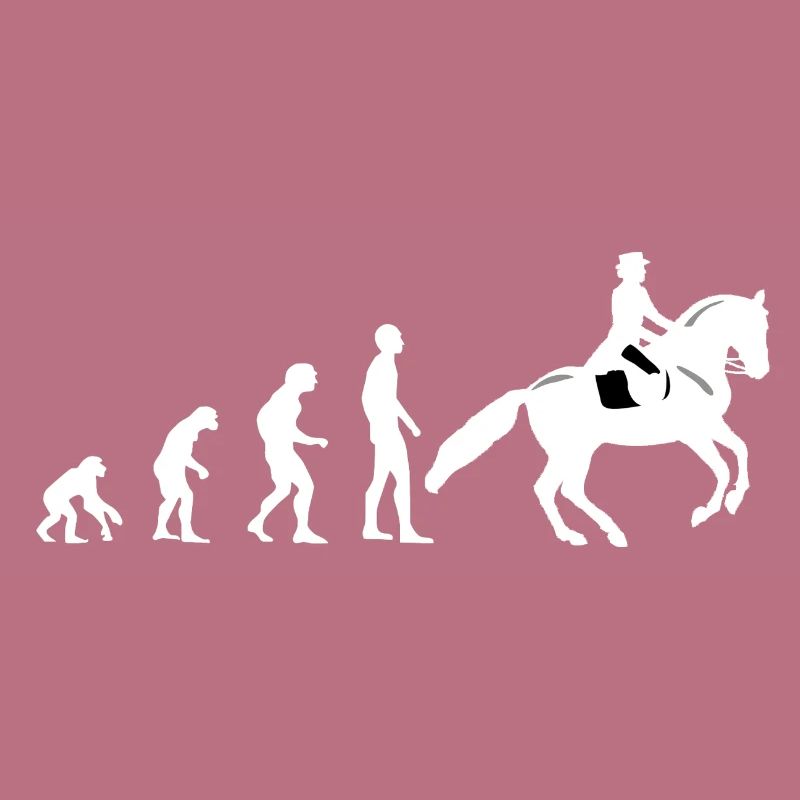 Evolution équitation - cheval - cavalier - cavalier