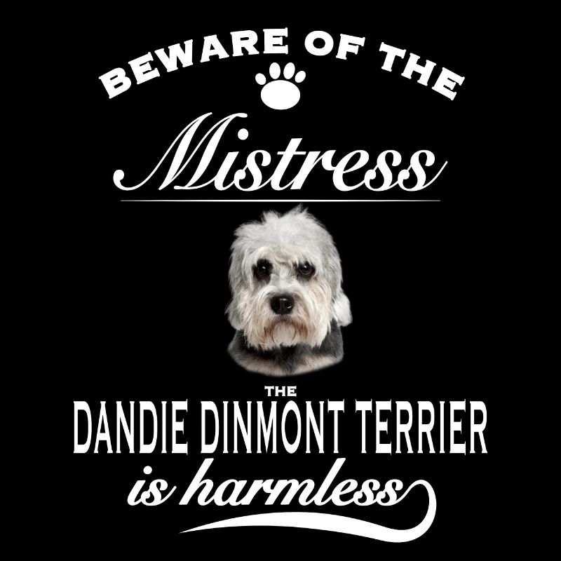 Beware mistress, harmless Dandie Dinmont Terrier