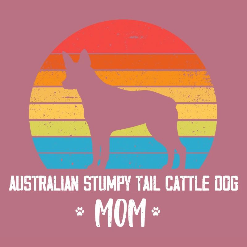 Australian Stumpy Tail Cattle Dog