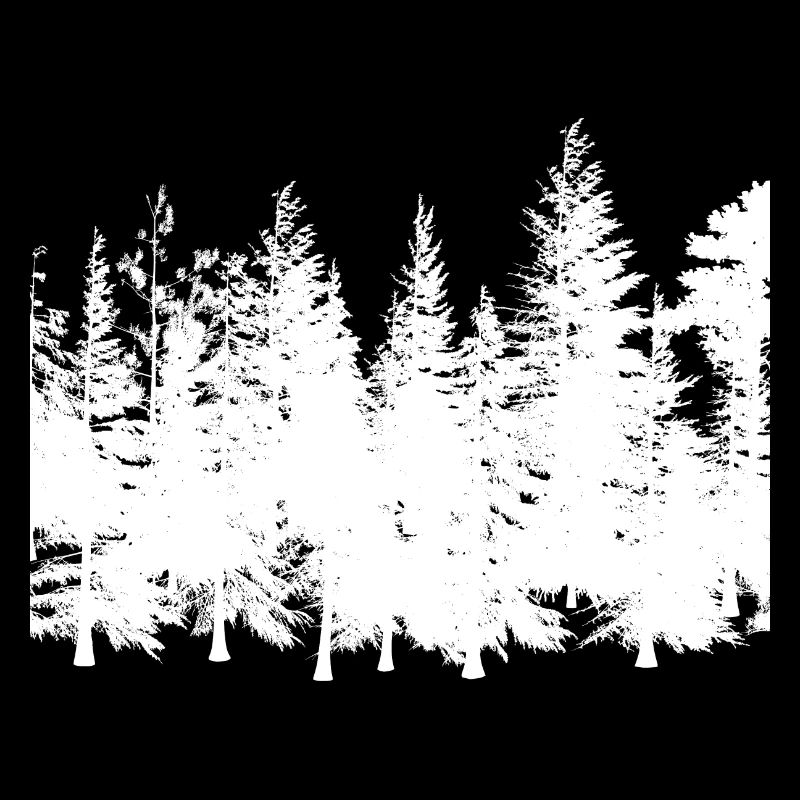 Forest Outline