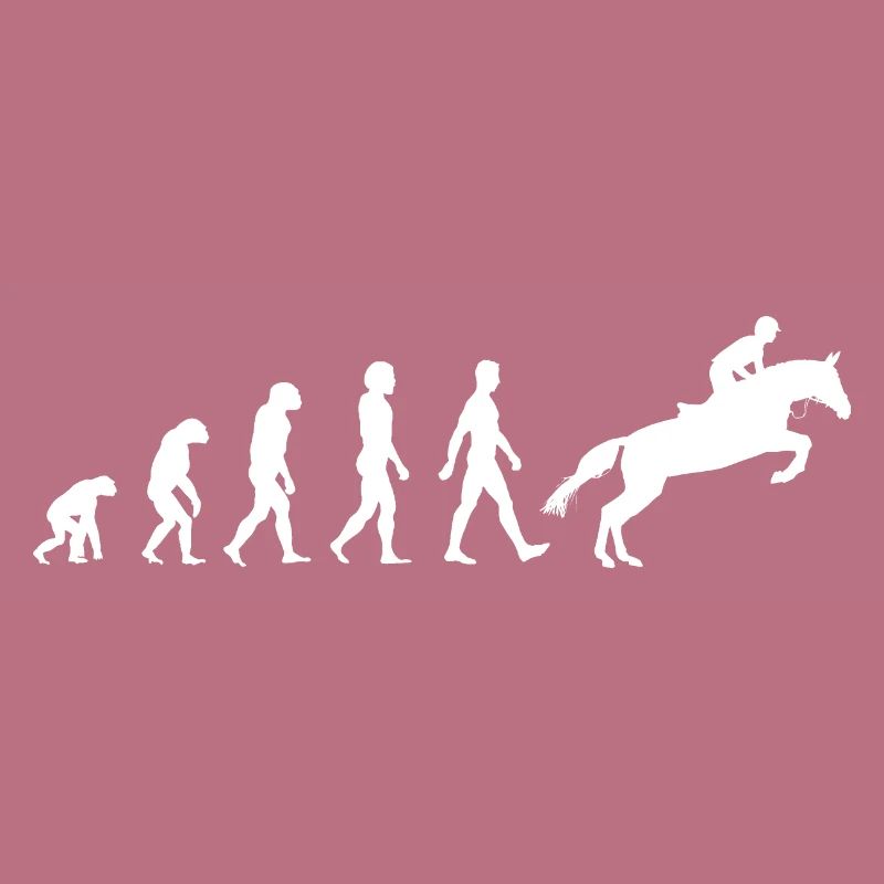 Cheval Cavaliers Cavaliers Équitation Evolution