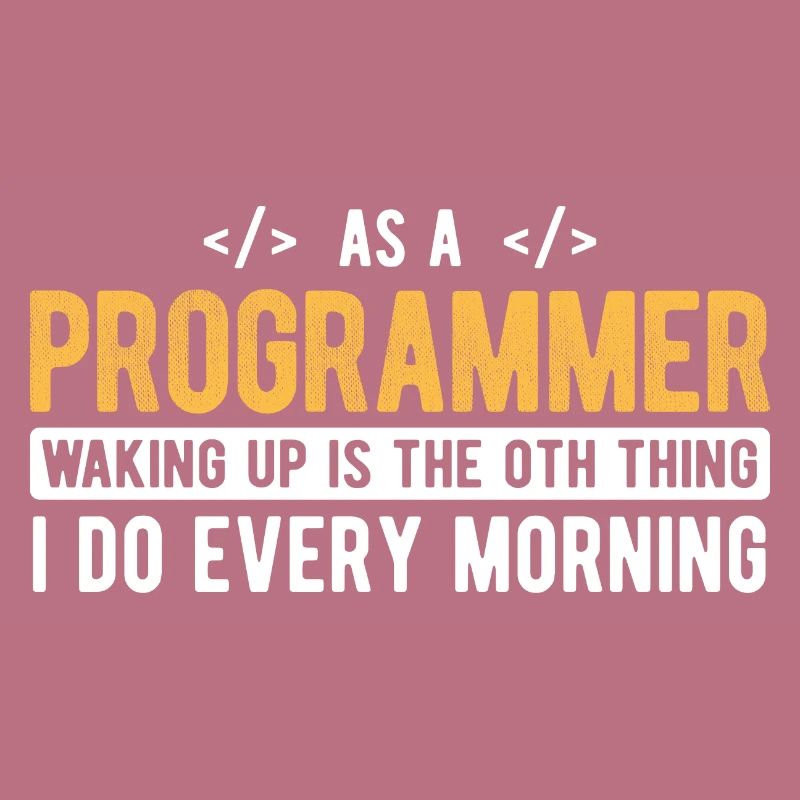 Software Ingenieur Informatiker Programmierer