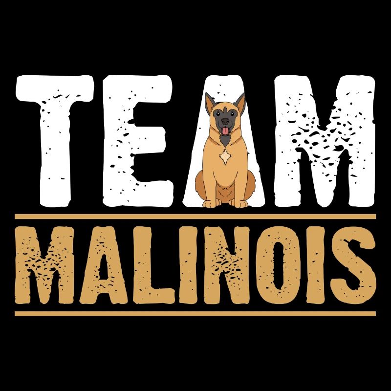 Hund Malinois