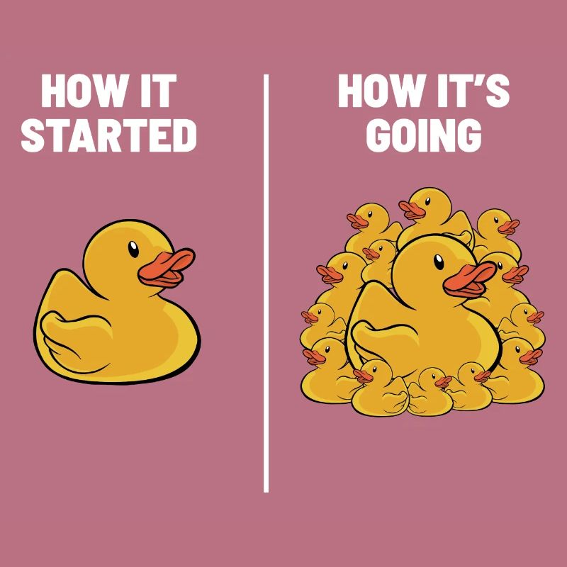 Rubber Duck Duckling Funny How It Started How It's