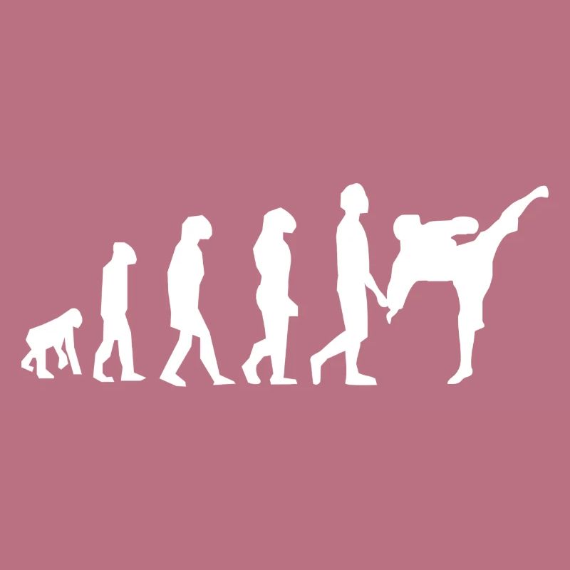 Art martiaux évolution