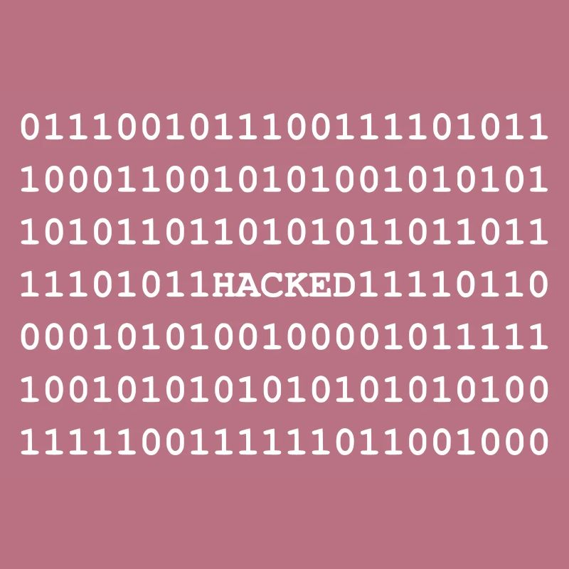 Hacked - Hacker - Nerd - Noob - Matrix