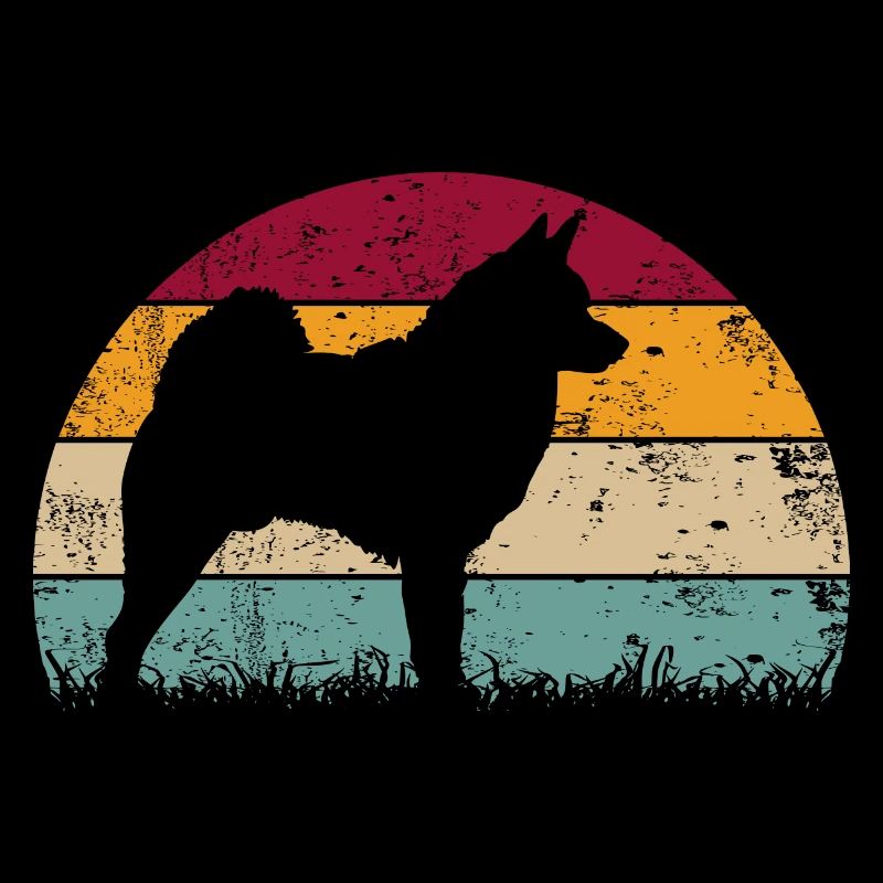 Norwegian Elkhound Norwegian Elkhound Vintage