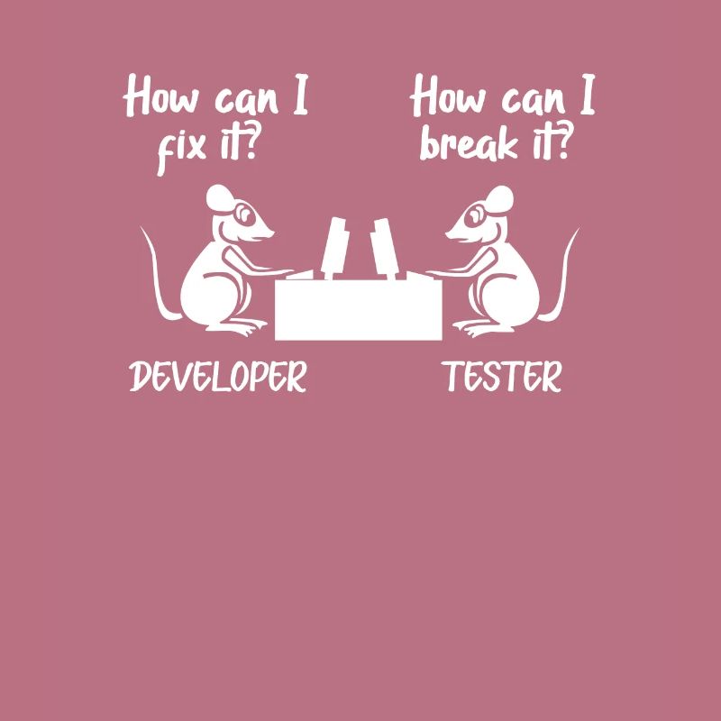 Softwareentwickler Programmierer Software