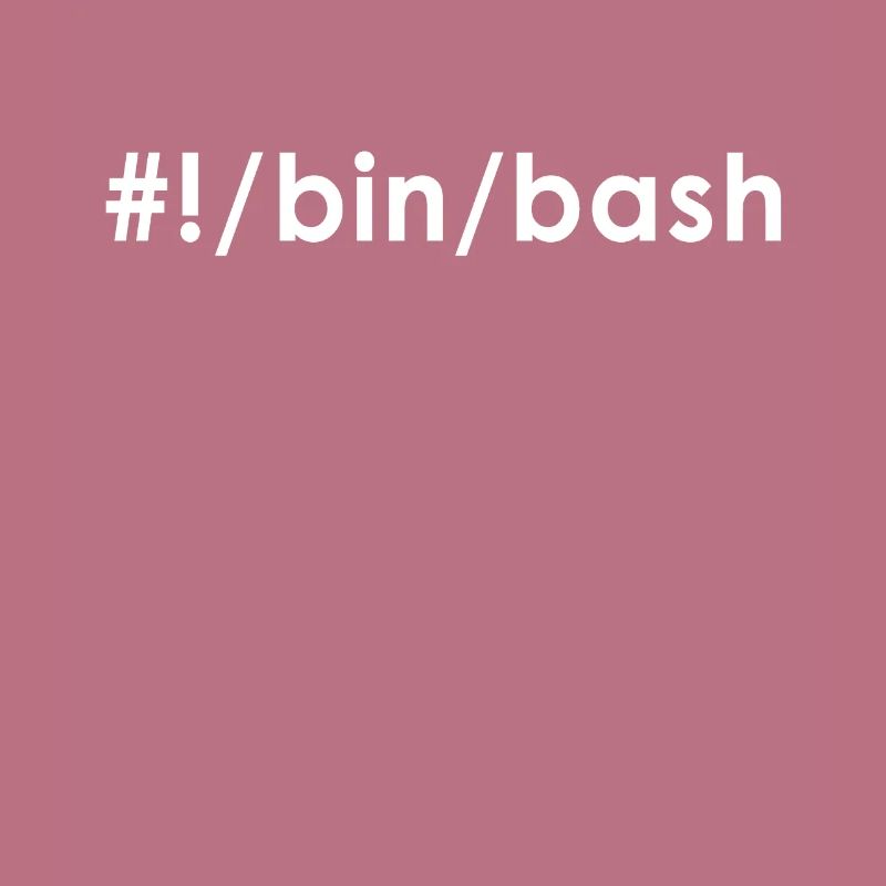 Programmer Admin Devops Linux Bash