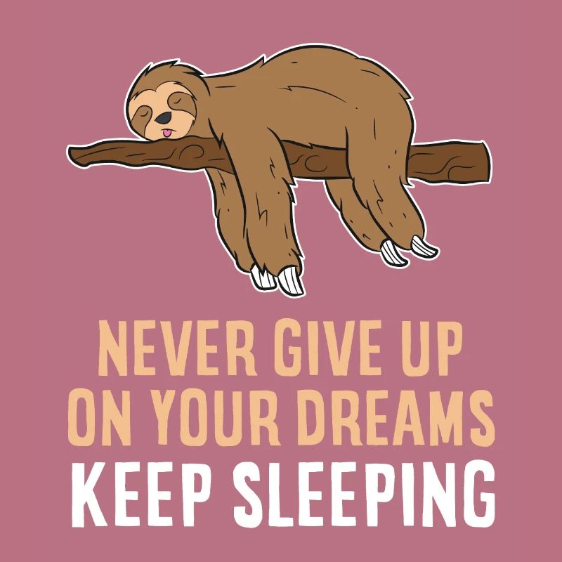 Never Give Up Your Dreams Keep Sleeping Sloth