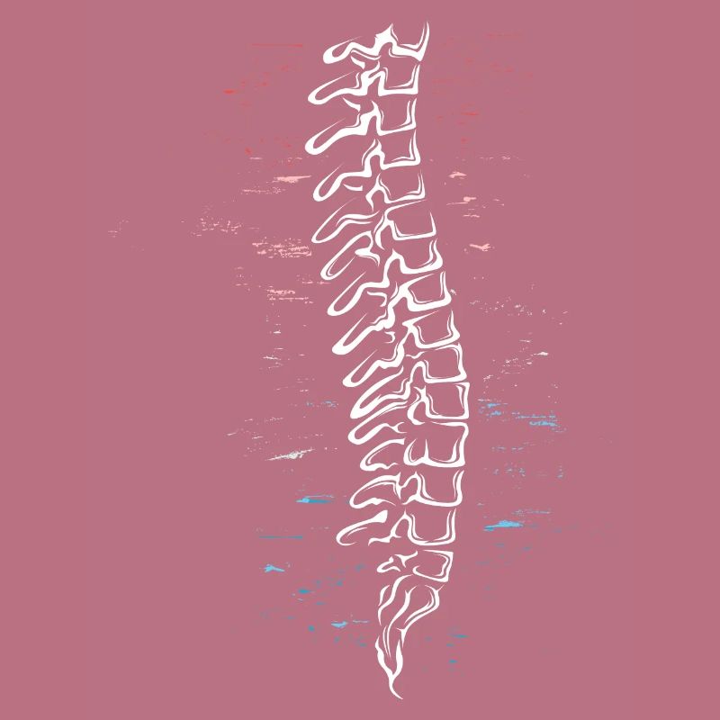 Physiotherapist Chiropractor Physiotherapy
