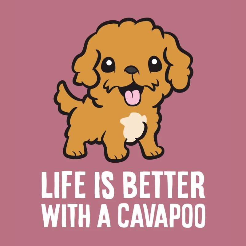 Cavapoo Pet Dog Life Is Better With A Cavapoo