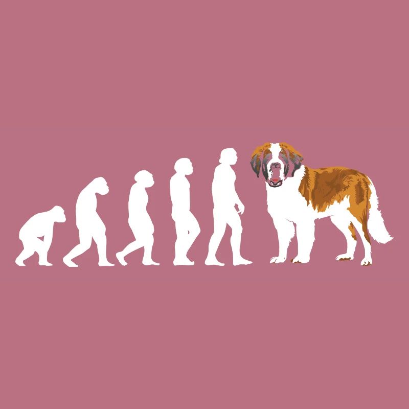 Evolution Saint-Bernard