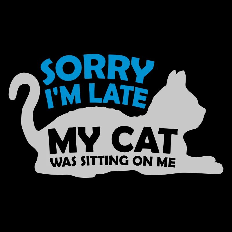 désolé chat était assis