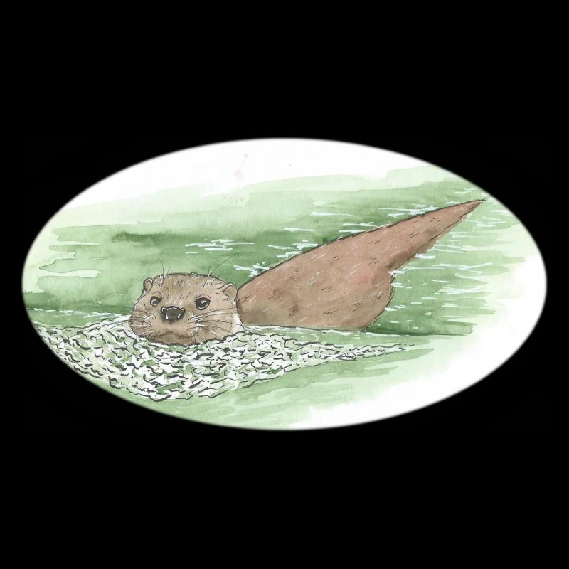 Otter 3 28 12 2022
