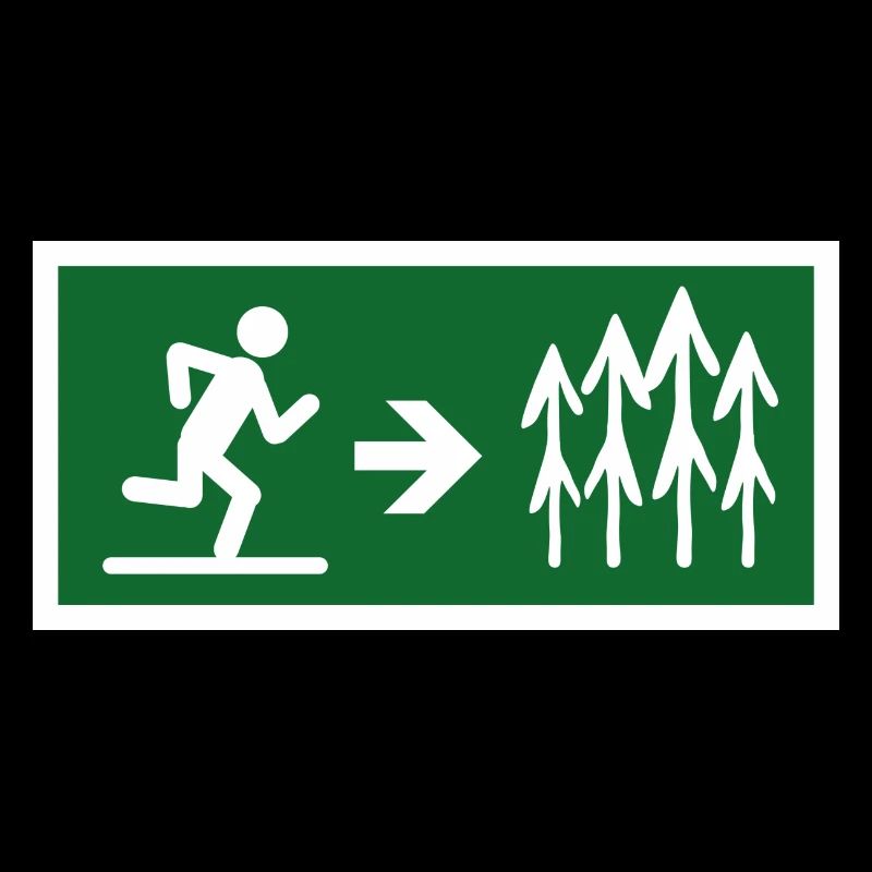 Sortie en forêt