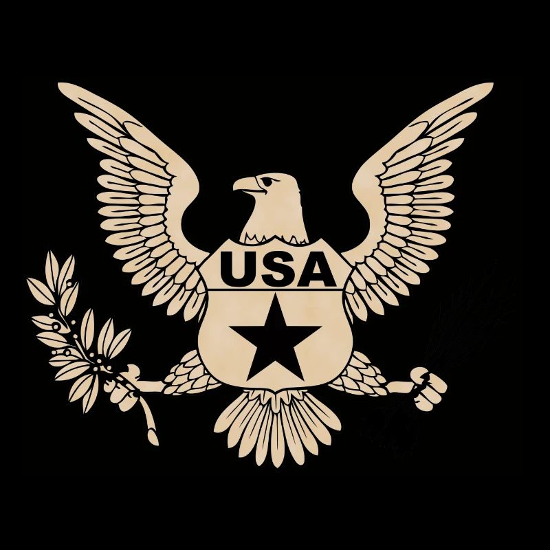 usa Armee 2