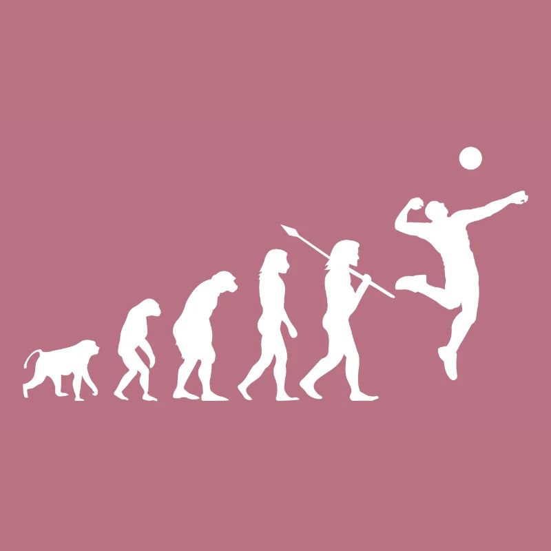Evolution du volleyball