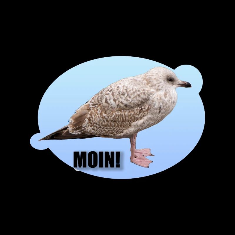 Möwe