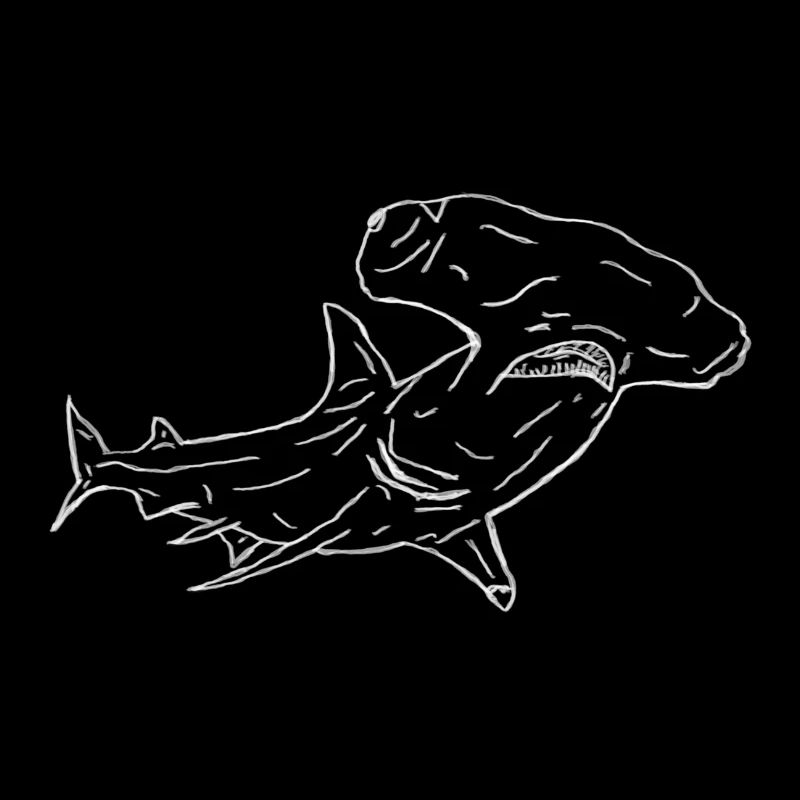 Hammerhead shark in white