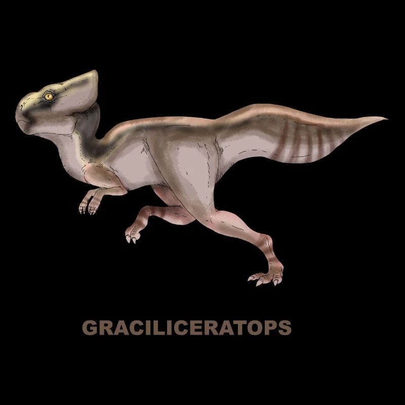 GRACILICERATOPS