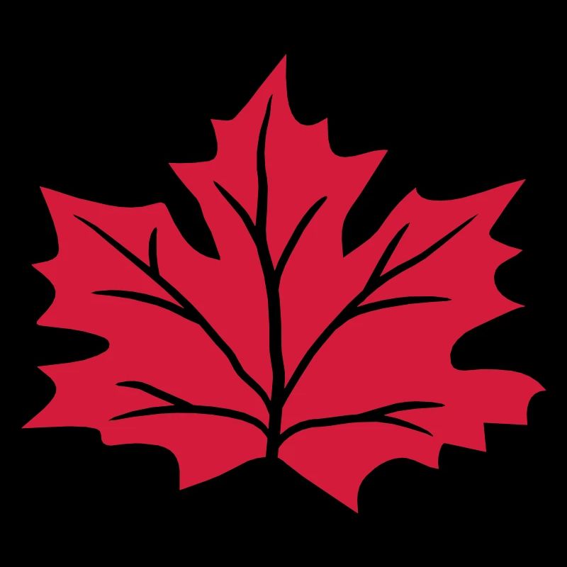 red maple leaf autumn winter red colorful colors bla