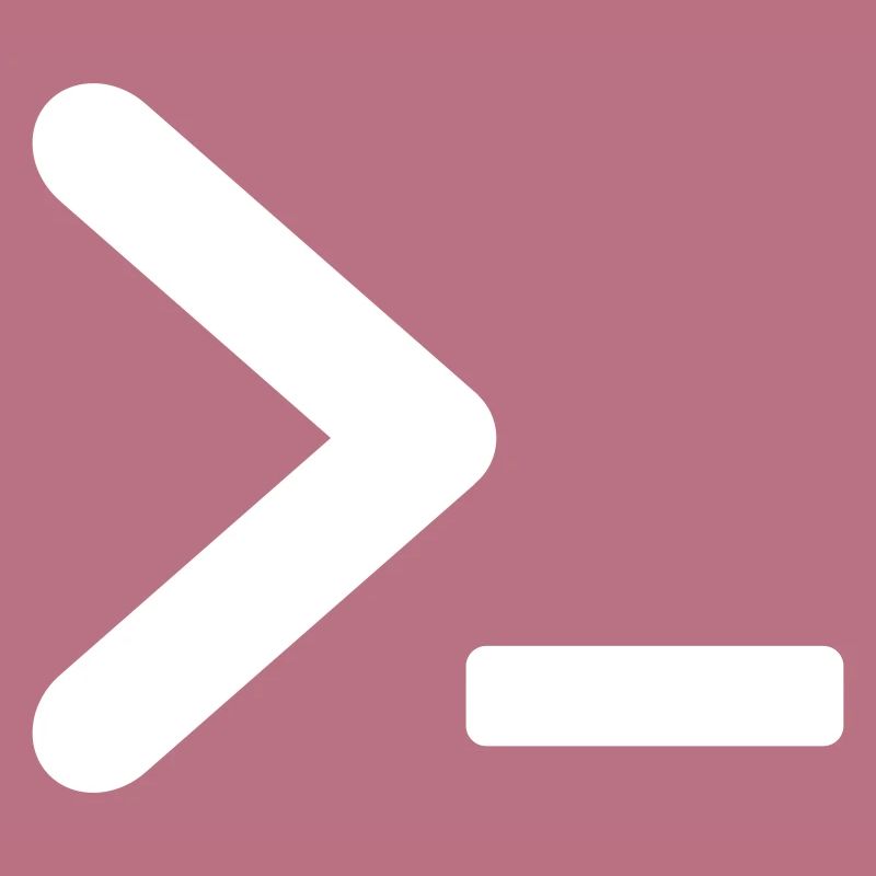 >_ OS Programm prompt