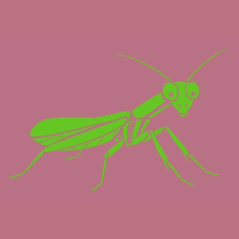 Praying mantis