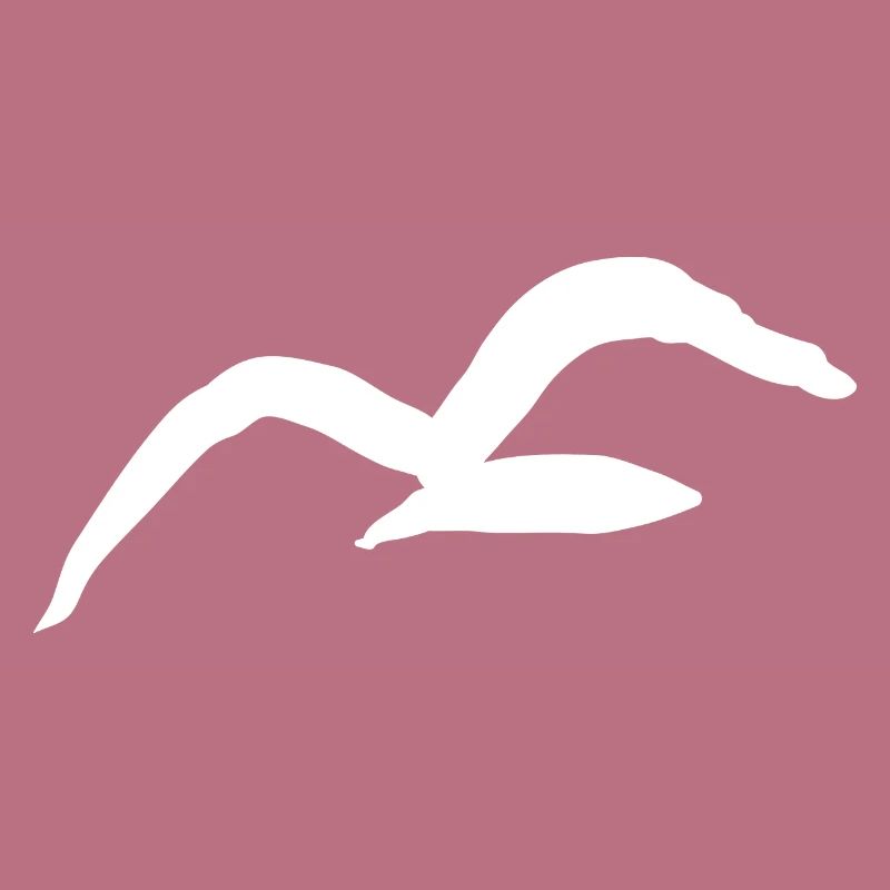 Möwe