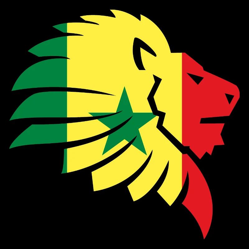 Senegal Flag Cap Vert Dakar Lion Africa Gift