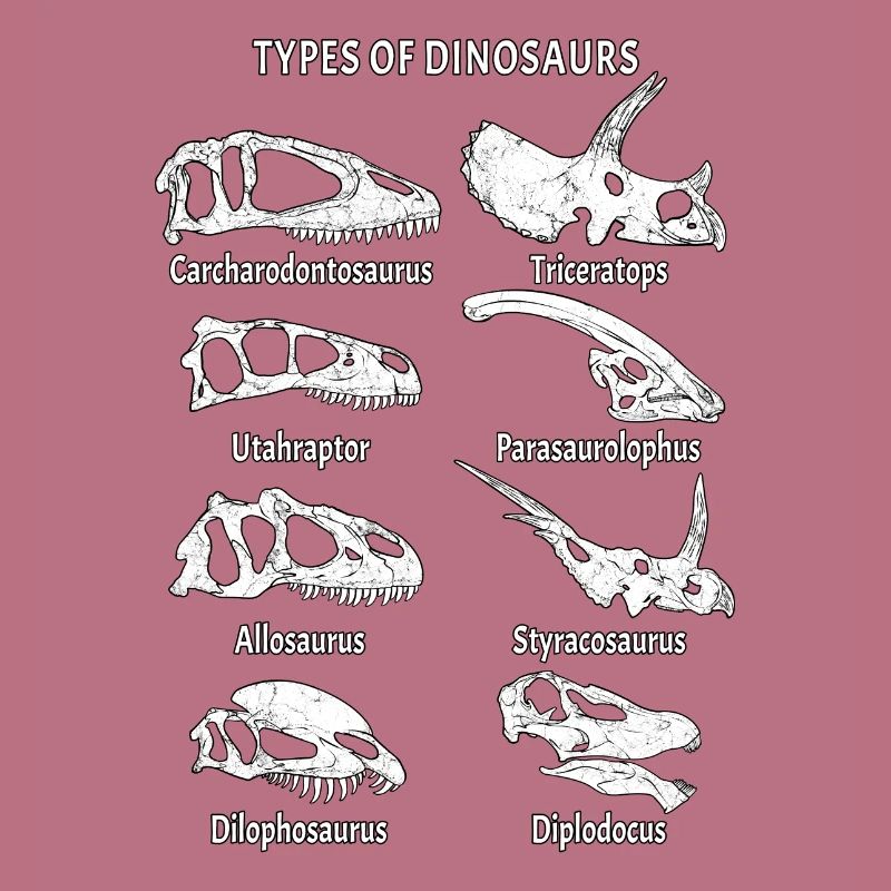 Dinosaur Fossils