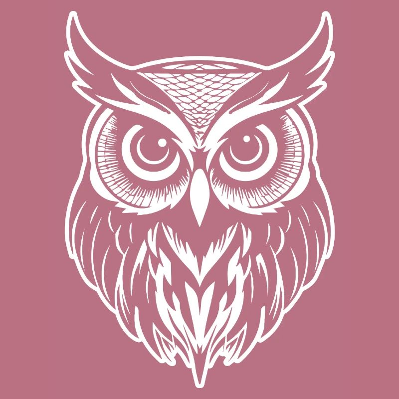 Eule Eulen Vogel Vögel