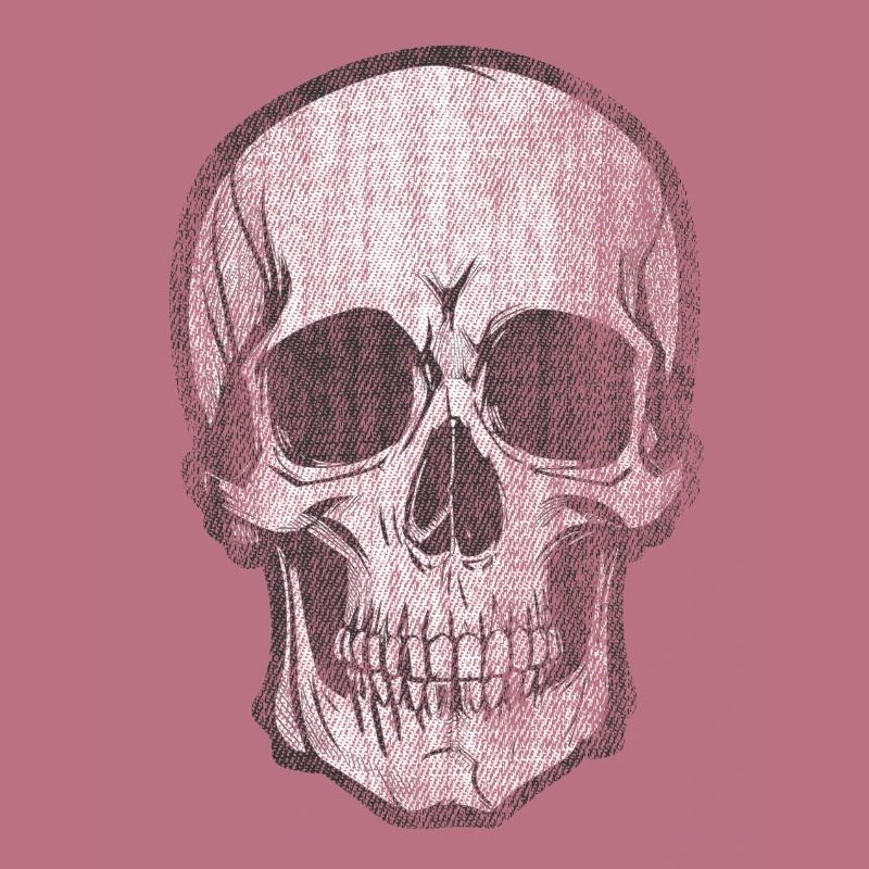 Skull Bone Skull Head Pirate