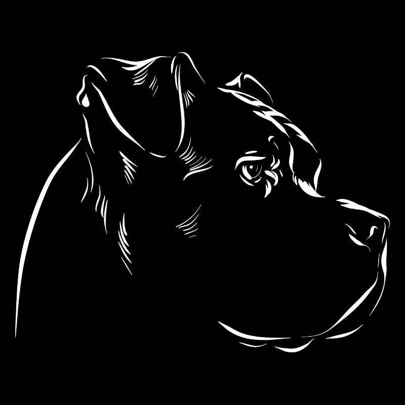 Cane Corso - Fan de chien