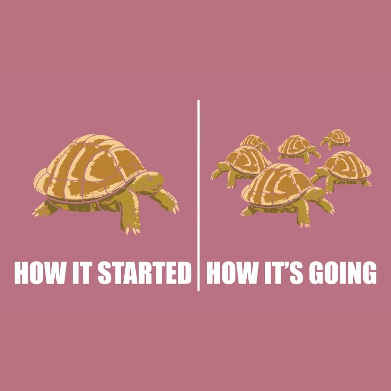 Funny How It Started How It's Going Turtle Reptile