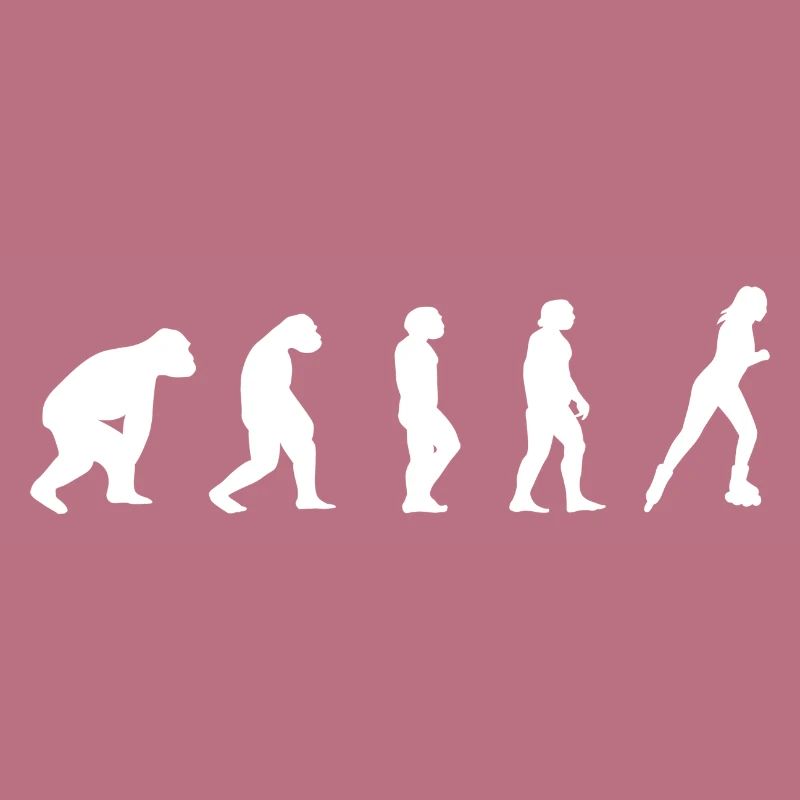 Patins en ligne rollers rollers Evolution cadeau