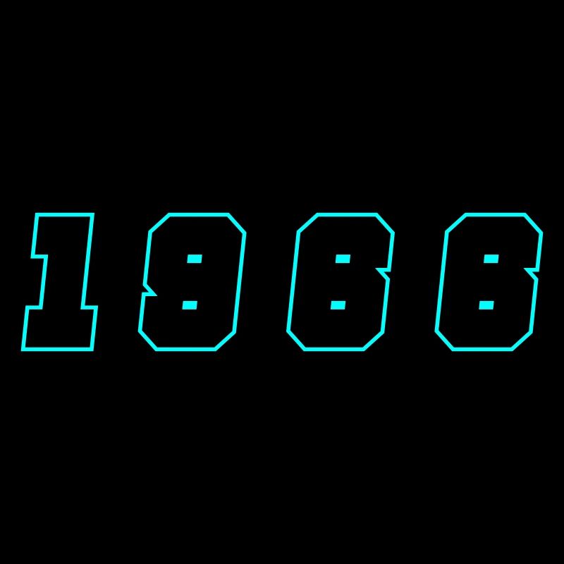 1966 Year Number