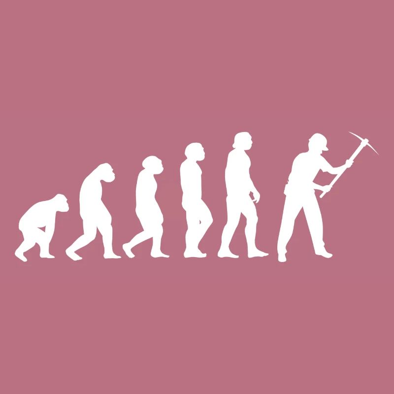 Evolution Bergmann